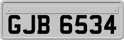 GJB6534