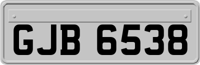 GJB6538