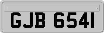 GJB6541
