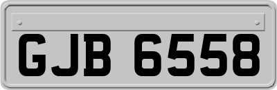 GJB6558