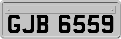 GJB6559