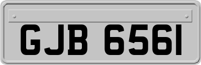 GJB6561