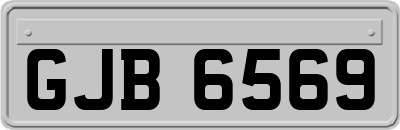 GJB6569