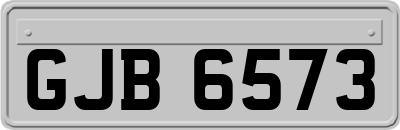 GJB6573