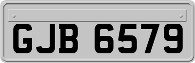 GJB6579