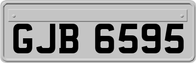 GJB6595