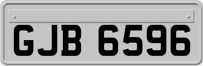 GJB6596