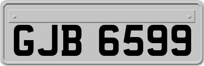 GJB6599