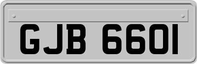 GJB6601