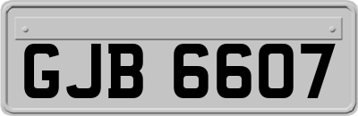 GJB6607