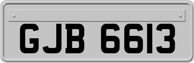 GJB6613