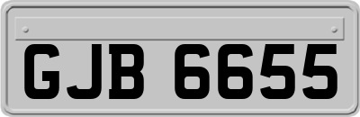GJB6655