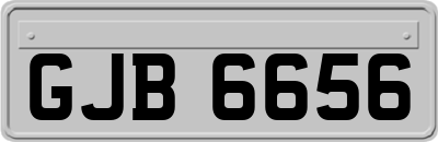GJB6656