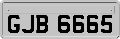 GJB6665