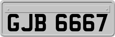 GJB6667