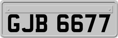 GJB6677