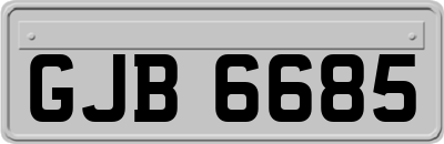 GJB6685