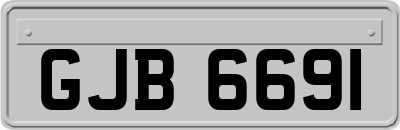 GJB6691