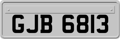 GJB6813
