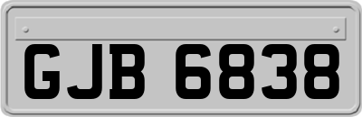 GJB6838