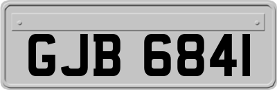 GJB6841