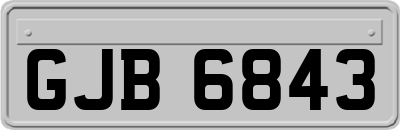 GJB6843