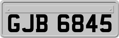 GJB6845