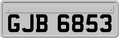 GJB6853