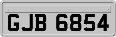 GJB6854