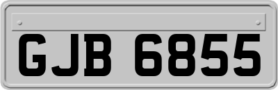GJB6855