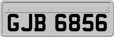 GJB6856