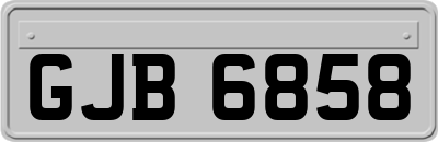 GJB6858