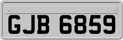 GJB6859