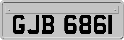 GJB6861