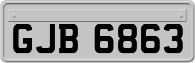 GJB6863