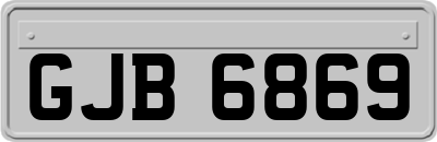 GJB6869