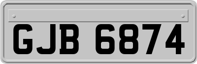 GJB6874