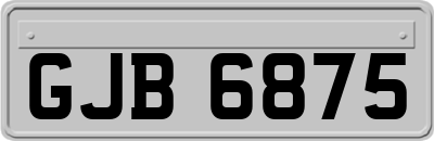 GJB6875