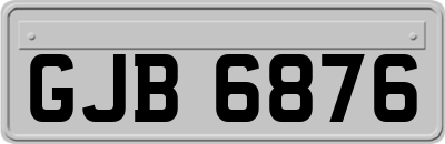 GJB6876