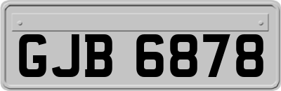 GJB6878