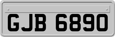 GJB6890