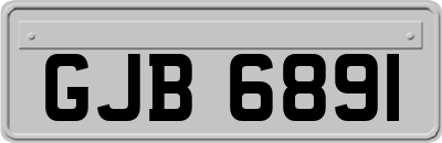 GJB6891