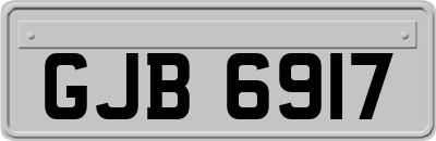 GJB6917