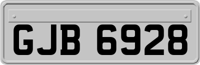 GJB6928