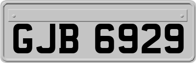 GJB6929