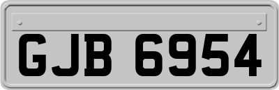 GJB6954