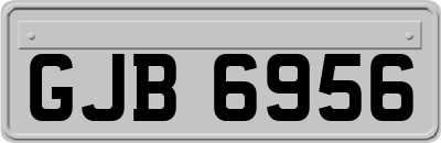 GJB6956