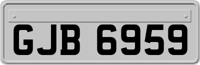 GJB6959