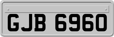 GJB6960