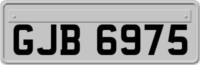 GJB6975